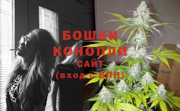 спиды Липки