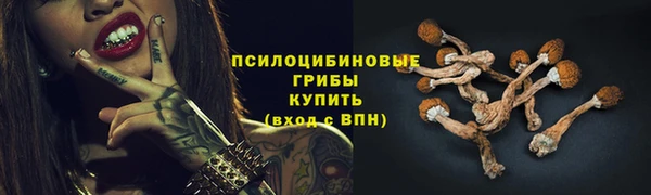 спиды Липки
