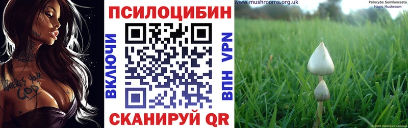 Галлюциногенные грибы мухоморы  купить закладку  Энгельс 