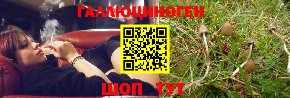 Галлюциногенные грибы GOLDEN TEACHER  Псилоцибиновые грибы мухоморы  Энгельс 