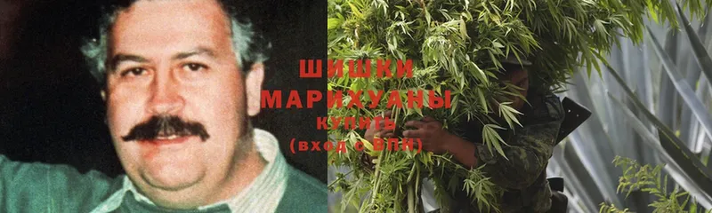 как найти закладки  Энгельс  Шишки марихуана Bruce Banner 